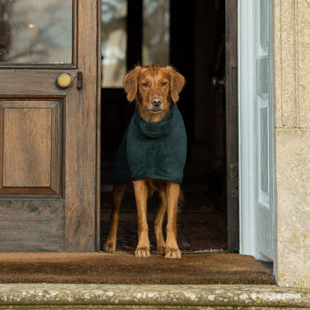 Dog drying coat Forest green